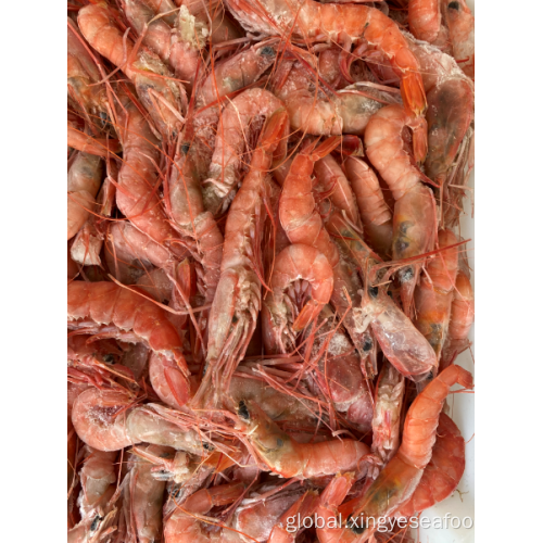 Red Deep Sea Prawn Chinese Frozen Red Deep Sea Prawn Supplier